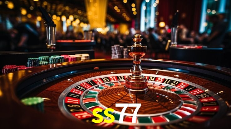 Security Systems ss77